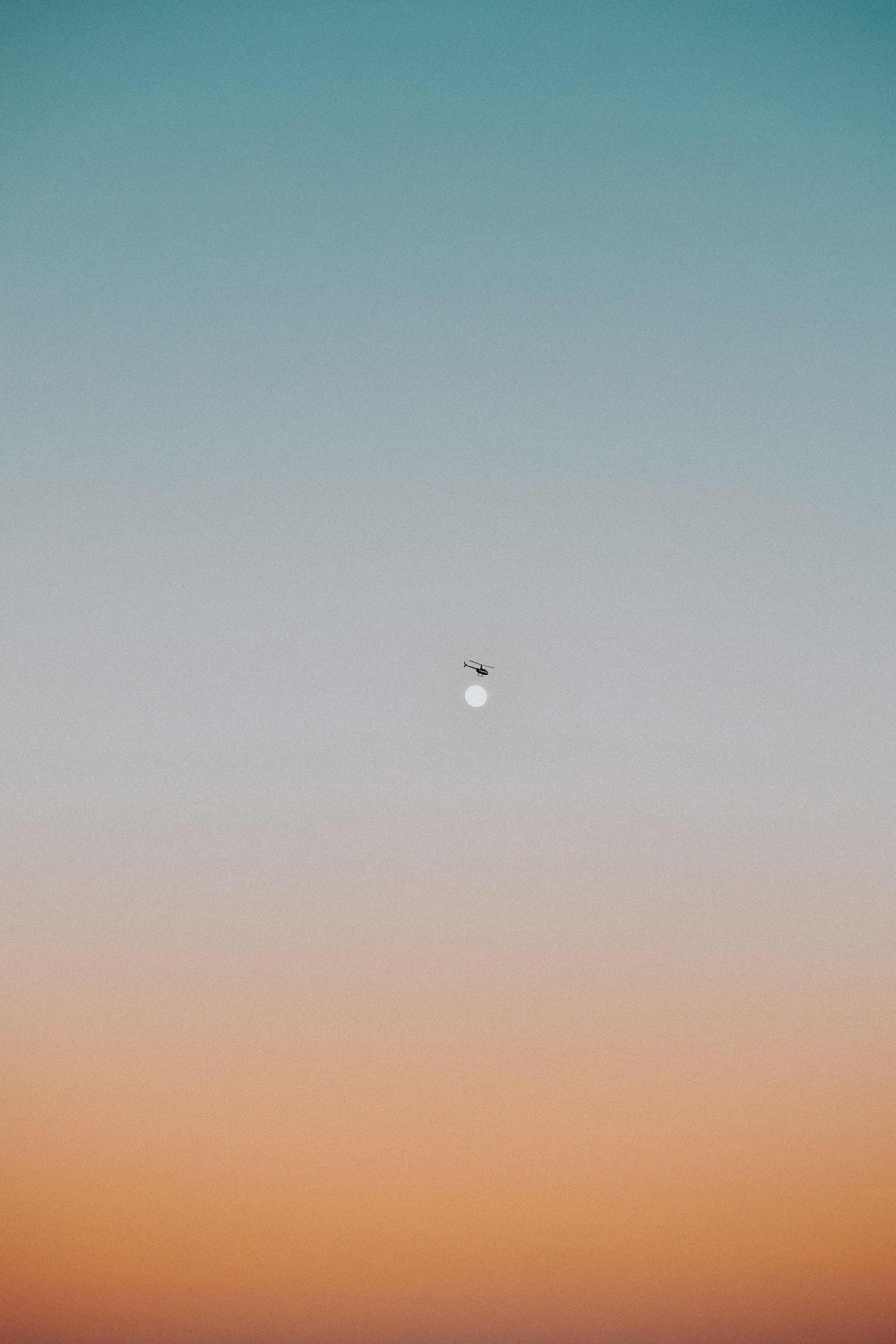 black bird flying over the sky during daytime